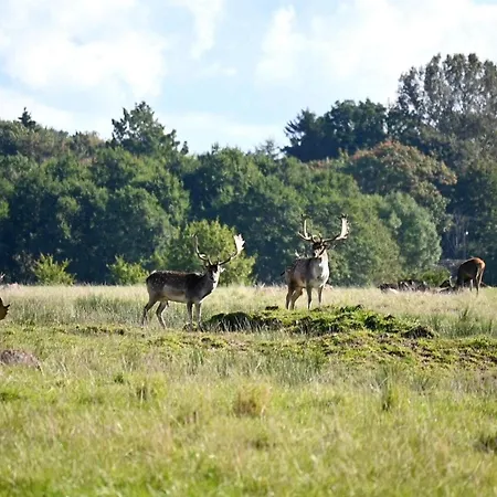 Home- Free Water Park Access ميدِلفارت