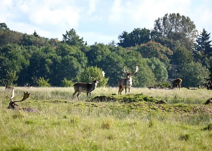 Home- Free Water Park Access Casa vacanze
